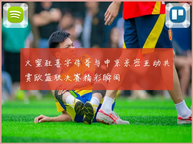火蜜狂喜字母哥与申京亲密互动共赏欧篮联决赛精彩瞬间