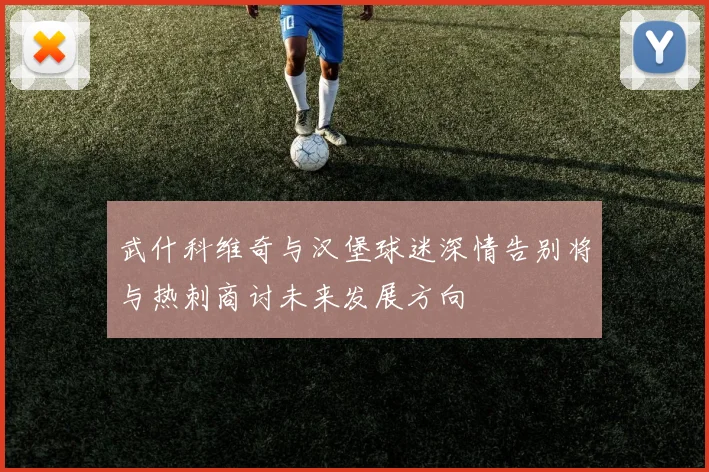 武什科维奇与汉堡球迷深情告别将与热刺商讨未来发展方向
